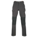 Ascender Pants